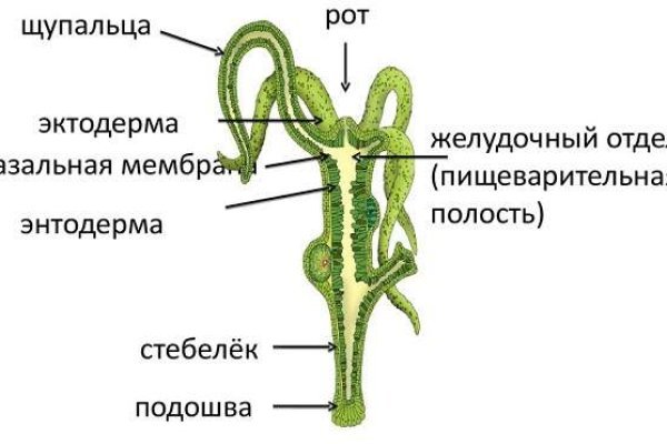 Кракен шоп это